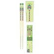 Photo1: Pokemon 2020 Chopsticks Adult Size Bulbasaur ver. (1)