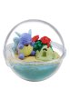 Photo1: Pokemon 2020 Terrarium Collection Four Seasons #3 Wartortle & Sandygast Mini Figure (1)