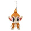 Photo1: Pokemon Center 2013 Pokemon Petit Chimchar Mascot Plush Key Chain (1)
