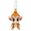 Photo1: Pokemon Center 2013 Pokemon Petit Chimchar Mascot Plush Key Chain (1)