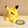 Photo2: Pokemon Center Pikachu Pokedoll Plush Toy (2)