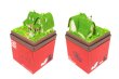 Photo2: Studio Ghibli mini Paper Craft Kit Kiki's Delivery Service 06 "Okino House" (2)