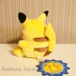 Photo3: Pokemon Center Pikachu Pokedoll Plush Toy (3)