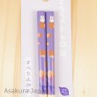 Photo1: Studio Ghibli Chopsticks My Neighbor Totoro SHO TOTORO Adult Size (1)