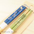 Photo3: Studio Ghibli Chopsticks My Neighbor Totoro 2pcs set WAFU Adult Size (3)