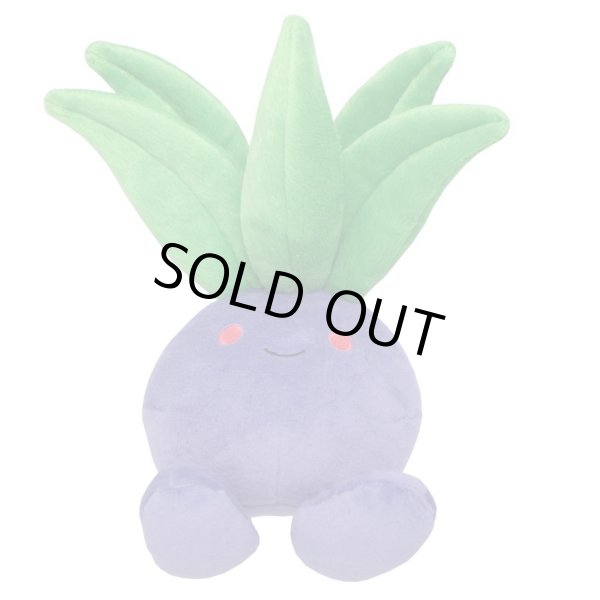 Photo1: Pokemon 2015 ALL STAR COLLECTION Oddish Plush Toy SAN-EI (1)