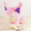 Photo2: Pokemon 2015 ALL STAR COLLECTION Skitty Plush Toy SAN-EI (2)