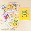 Photo1: Pokemon Center 2015 Poncho Pikachu Series #1 Business Card 8 cards and File Holder (1)