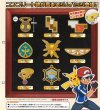 Photo3: Pokemon XY&Z 2015 Metal collection Gym badge Special Cyllage City Pin Takara Tomy (3)