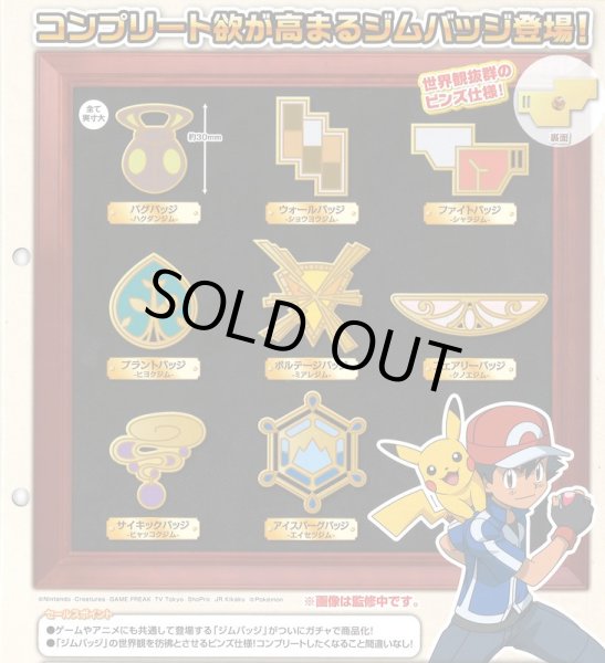 Photo3: Pokemon XY&Z 2015 Metal collection Gym badge Special Lumiose City Pin Takara Tomy (3)