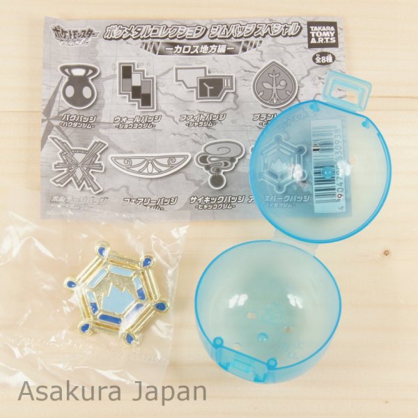 Photo1: Pokemon XY&Z 2015 Metal collection Gym badge Special Snowbelle City Pin Takara Tomy (1)