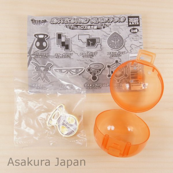 Photo1: Pokemon XY&Z 2015 Metal collection Gym badge Special Santalune City Pin Takara Tomy (1)