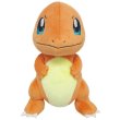 Photo1: Pokemon 2016 ALL STAR COLLECTION Charmander Plush Toy SAN-EI (1)