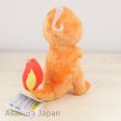 Photo3: Pokemon 2016 ALL STAR COLLECTION Charmander Plush Toy SAN-EI (3)