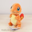 Photo2: Pokemon 2016 ALL STAR COLLECTION Charmander Plush Toy SAN-EI (2)