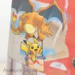 Photo2: Pokemon Center Online 2016 Campaign A4 Size Document Case Red Pikachu Charizard (2)