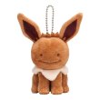 Photo1: Pokemon Center 2016 Transform Ditto Eevee Plush Mascot Key Chain (1)