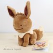 Photo2: Pokemon Center 2016 Plush Toy Transform Ditto Eevee (2)