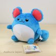 Photo2: Pokemon 2016 ALL STAR COLLECTION Marill Plush Toy SAN-EI (2)