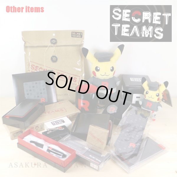 Photo4: Pokemon Center 2016 SECRET TEAMS Team Plasma Pikachu Plush Toy (4)