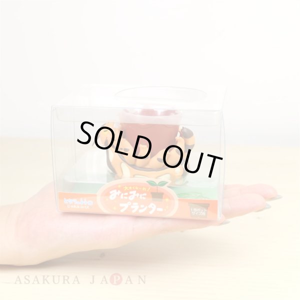 Photo2: Studio Ghibli Mini Mini PLANTER My Neighbor Totoro Cat bus Jareneko (2)