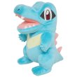 Photo1: Pokemon 2016 ALL STAR COLLECTION Totodile Plush Toy SAN-EI (1)