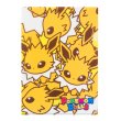 Photo1: Pokemon Center 2017 POKEMON DOLLS A4 Size Clear File Folder Jolteon (1)