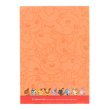 Photo2: Pokemon Center 2017 POKEMON DOLLS A4 Size Clear File Folder Flareon (2)