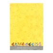 Photo2: Pokemon Center 2017 POKEMON DOLLS A4 Size Clear File Folder Jolteon (2)