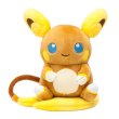 Photo1: Pokemon Center 2017 POKEMON DOLLS Alola Raichu Plush Toy (1)