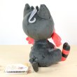 Photo3: Pokemon 2017 ALL STAR COLLECTION Litten Plush Toy SAN-EI (3)