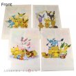 Photo1: Pokemon Center Online Prize A4 Size Clear File 4 pcs Eevee Evolutions (1)