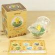 Photo3: Pokemon 2017 Terrarium Collection set of 6 Figure Complete set Mini Figure (3)