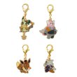 Photo1: Pokemon Center 2017 Pokemon Halloween Time Metal Charm Set Mimikyu (1)