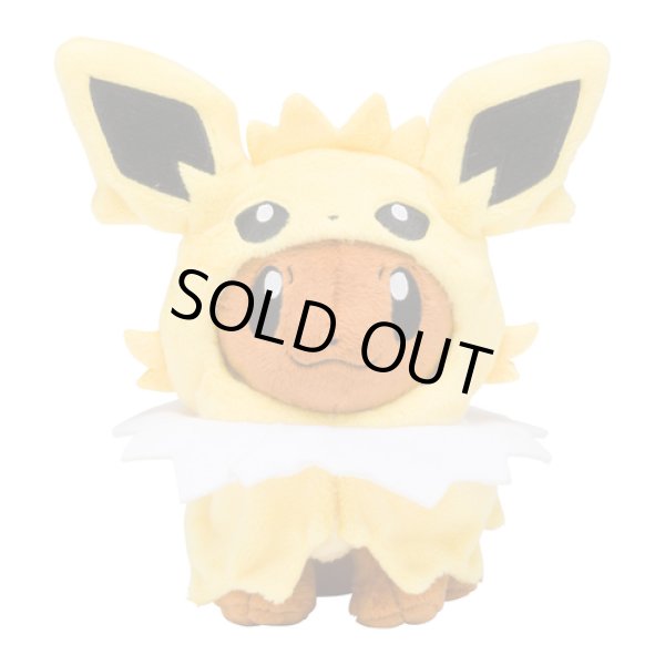 Photo1: Pokemon Center 2017 Eevee Poncho Series Jolteon ver.  Plush Toy (1)