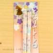 Photo1: Studio Ghibli Chopsticks My Neighbor Totoro Hana no Mai Adult Size (1)