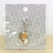 Photo2: Pokemon Center 2012 Metal Charm # 645 Landorus (2)