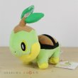 Photo2: Pokemon 2017 ALL STAR COLLECTION Turtwig Plush Toy SAN-EI (2)