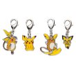 Photo1: Pokemon Center 2017 Metal Charm # 172 025 026 A026 Pichu Pikachu Raichu Alola Raichu (1)