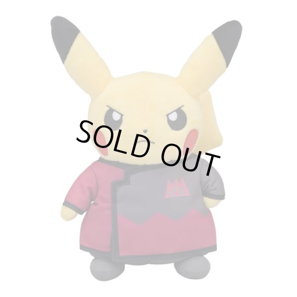 Photo1: Pokemon Center 2018 Rainbow Rocket Campaign Team Magma Maxie Pikachu Plush doll (1)
