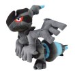 Photo1: Pokemon Center 2018 Rainbow Rocket Campaign Team Plasma's Zekrom Plush doll (1)