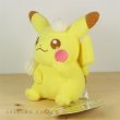 Photo2: Pokemon Center 2018 OTEIRE Please Pikachu Plush doll (2)