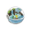 Photo1: Pokemon 2018 Terrarium Collection vol.2 #2 Squirtle Mini Figure (1)