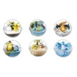 Photo1: Pokemon 2018 Terrarium Collection vol.2 set of 6 Figure Complete set Mini Figure (1)