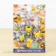 Photo3: Pokemon Center 2018 Tokyo DX Metal charm (3)