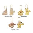 Photo2: Pokemon Center 2018 Pikachu & Eevee’s Easter Key chain with Egg case Eevee Acrylic charm (2)