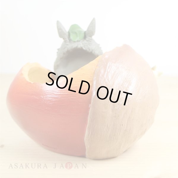 Photo4: Studio Ghibli PLANTER My Neighbor Totoro "Donguri saitayo" (4)