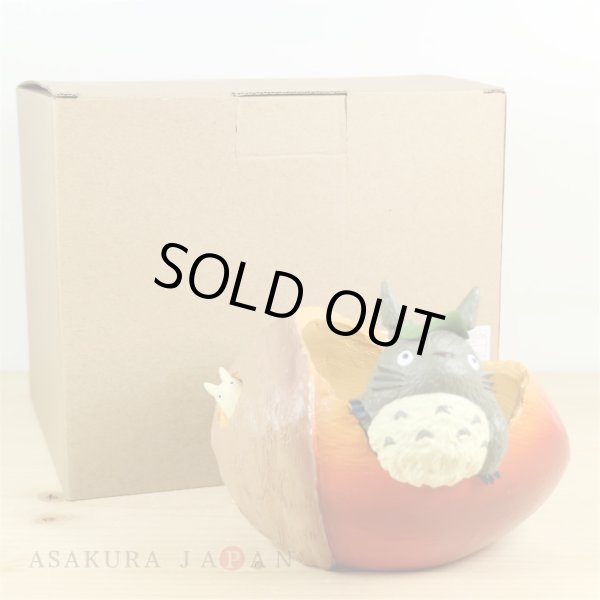 Photo2: Studio Ghibli PLANTER My Neighbor Totoro "Donguri saitayo" (2)