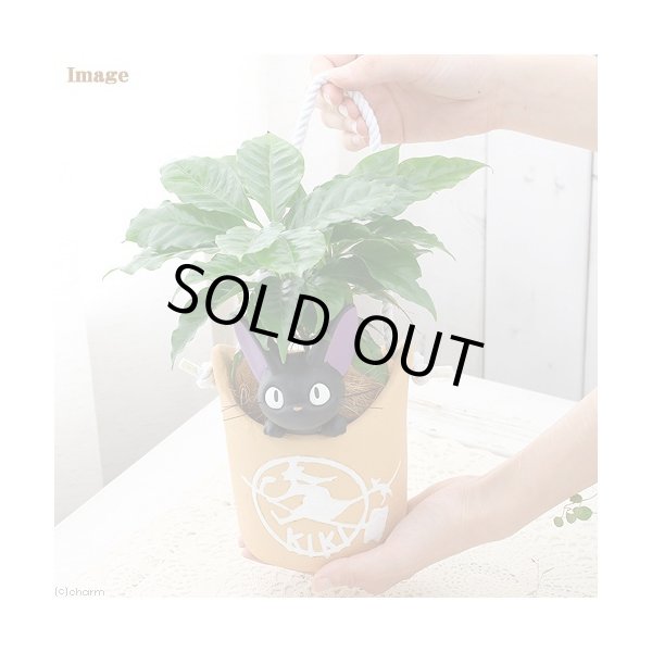 Photo9: Studio Ghibli PLANTER Kiki's Delivery Service "Jiji no otodoke-mono" (9)