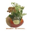 Photo7: Studio Ghibli PLANTER My Neighbor Totoro "Donguri saitayo" (7)